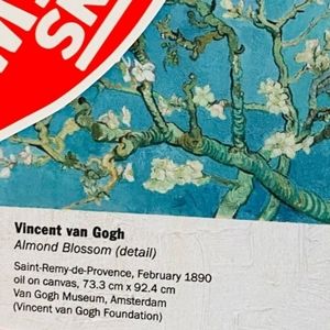 Vans  Almond Blossom limited edition High Tops, New w/o Tags- Never Worn